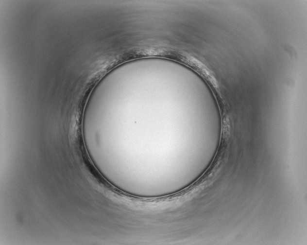 X0000115220018200911181558