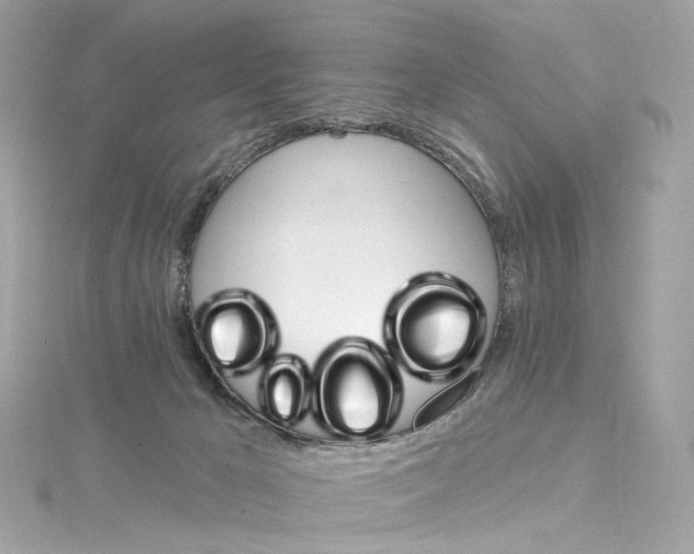 X0000115220029200911181558
