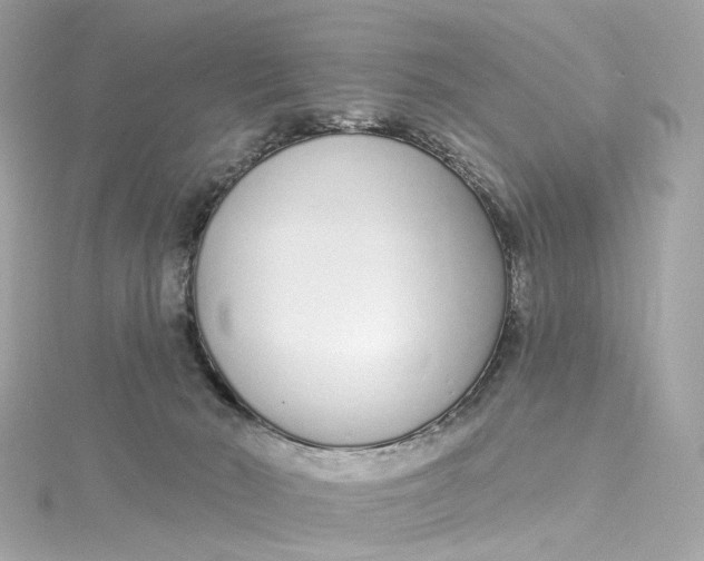 X0000115220030200911181558