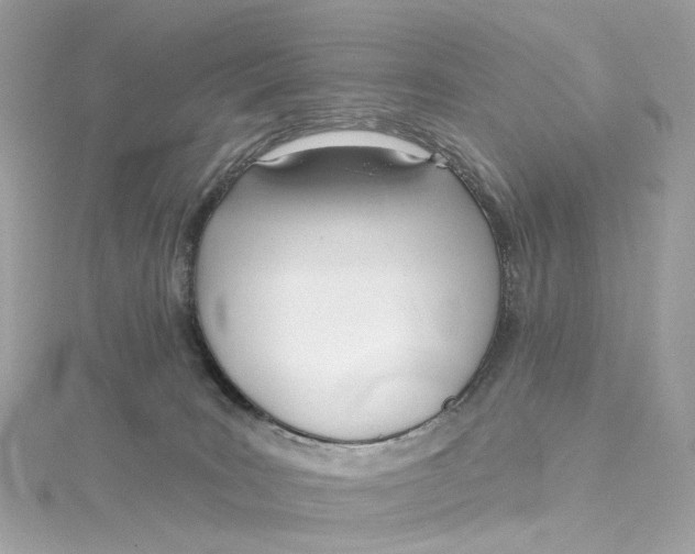 X0000115220035200911181558