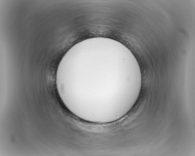X0000115220040200911181558