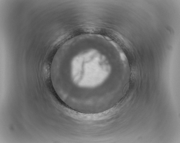X0000115220043200911181558