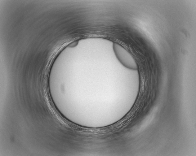 X0000115220049200911181557