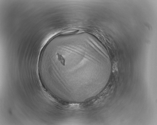 X0000115220052200911181557