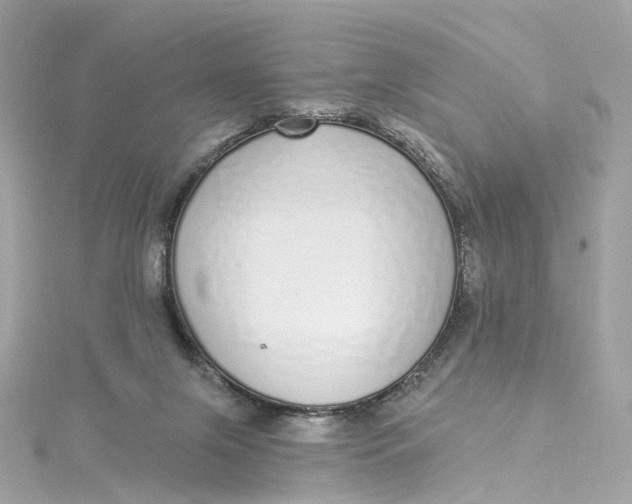 X0000115220071200911181557