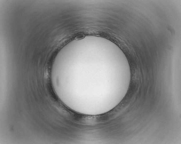 X0000115220084200911181557