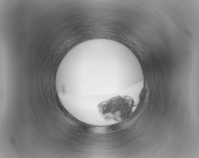 X0000115220085200911181557