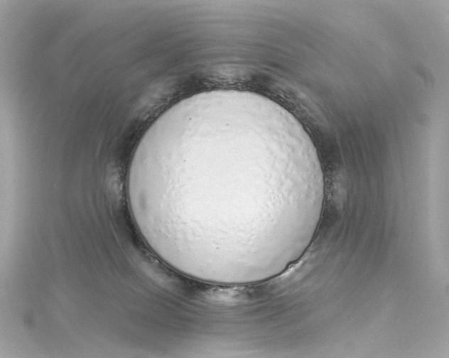 X0000115220086200911181557