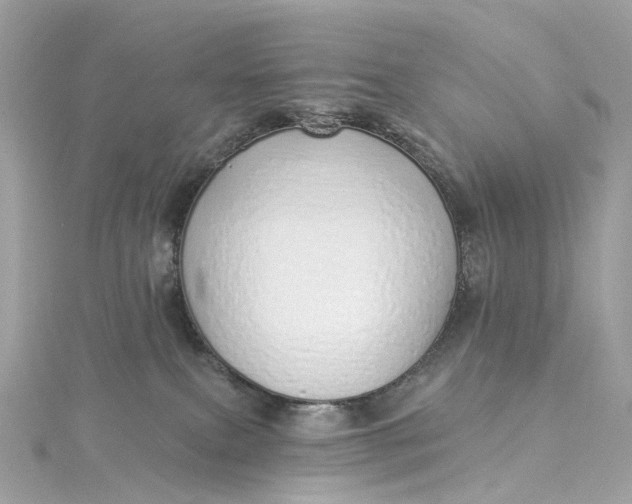 X0000115220087200911181557
