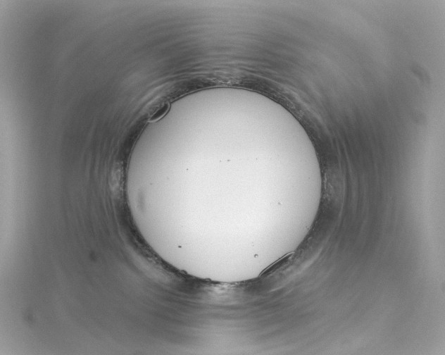 X0000115220092200911181557