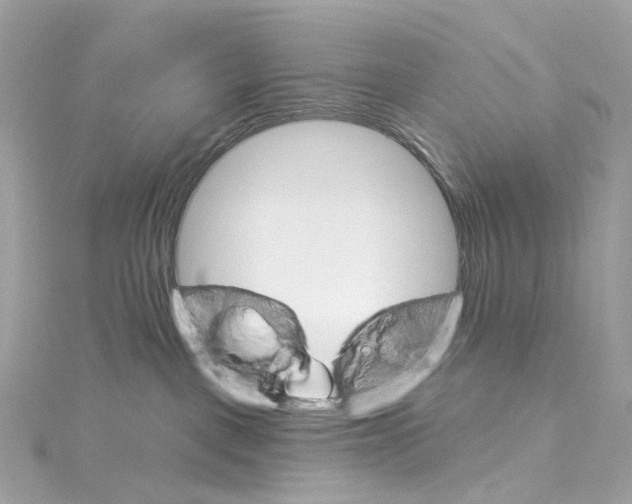 X0000115220093200911181557