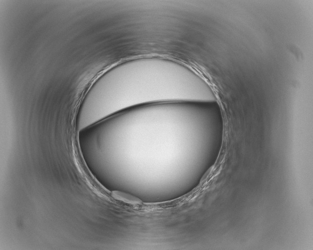 X0000115220097200911181557