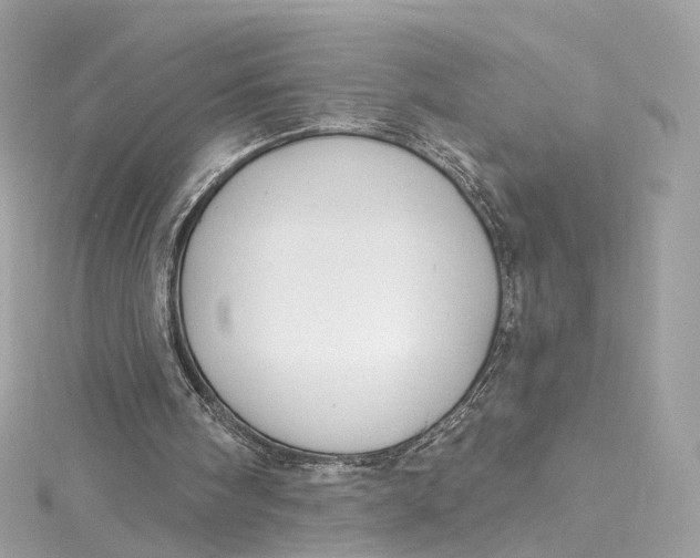 X0000115220098200911181557