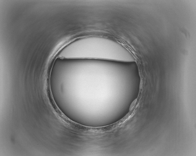 X0000115220101200911181557