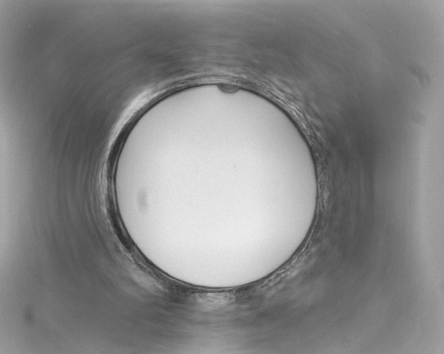 X0000115220102200911181557