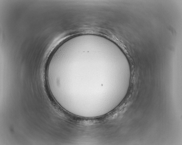 X0000115220103200911181557