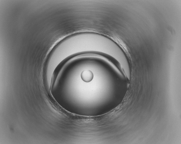 X0000115220108200911181557
