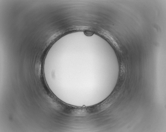 X0000115220110200911181557