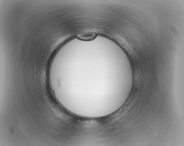 X0000115220112200911181557