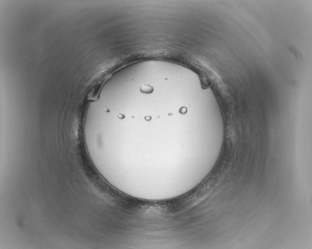 X0000115220115200911181557