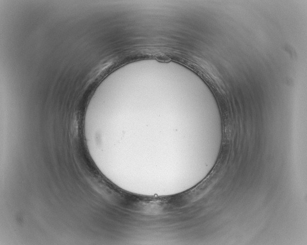 X0000115220120200911181557