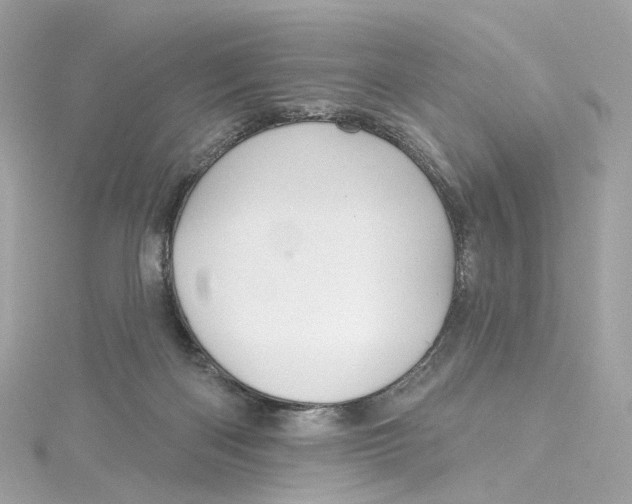 X0000115220122200911181557
