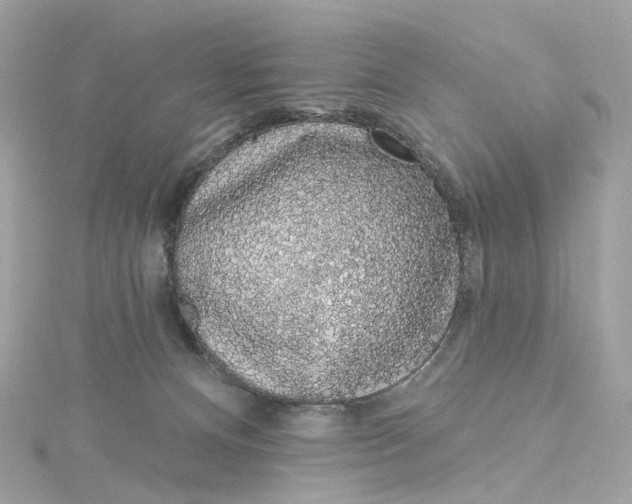 X0000115220128200911181556