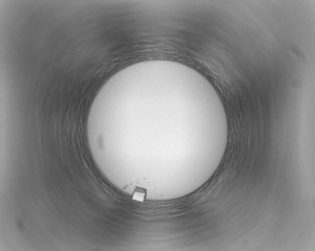 X0000115220129200911181556