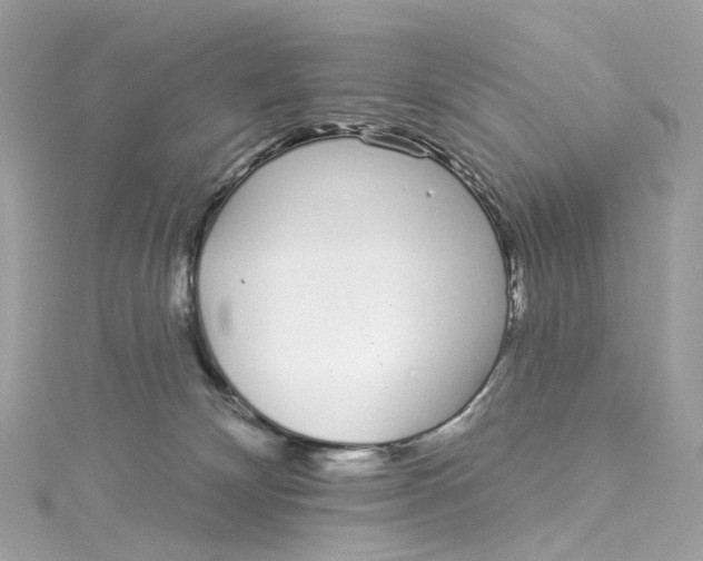 X0000115220132200911181556