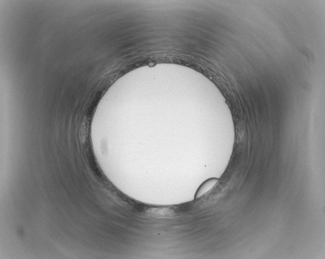 X0000115220133200911181556