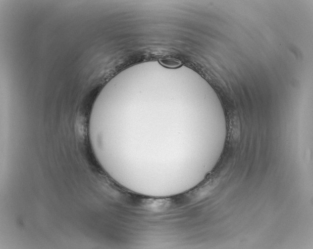 X0000115220135200911181556