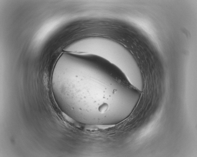 X0000115220146200911181556