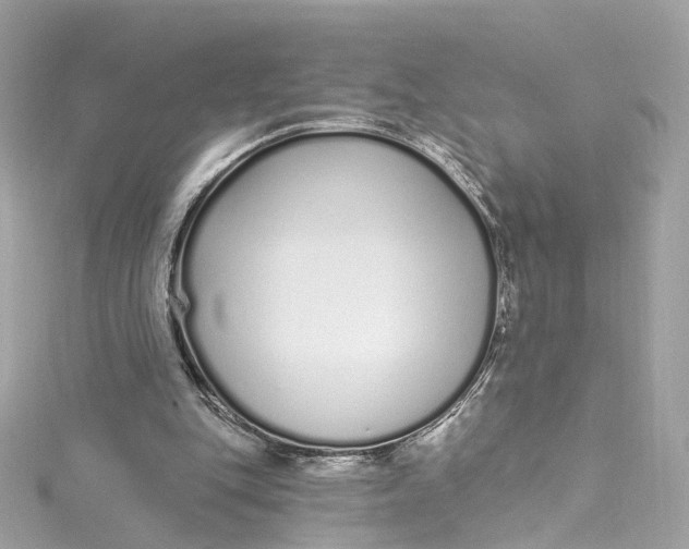 X0000115220151200911181556