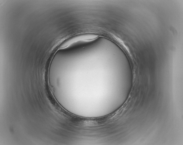 X0000115220154200911181556