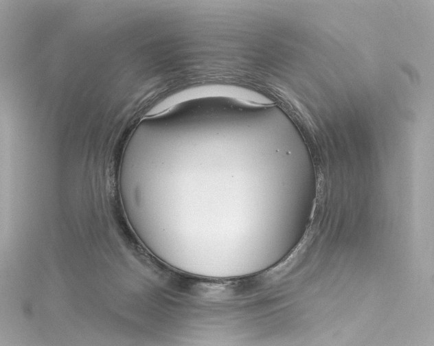 X0000115220170200911181556