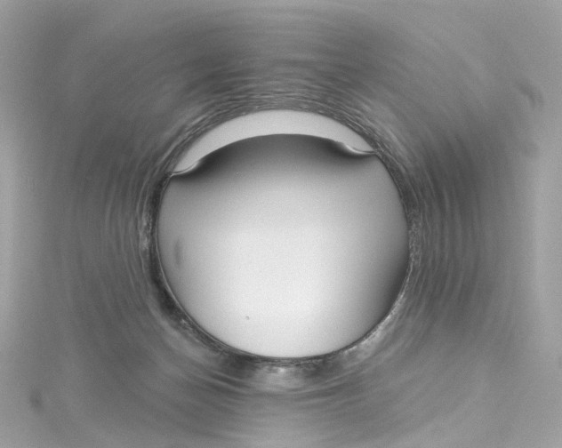 X0000115220174200911181556