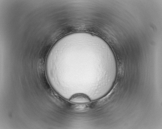 X0000115220179200911181556