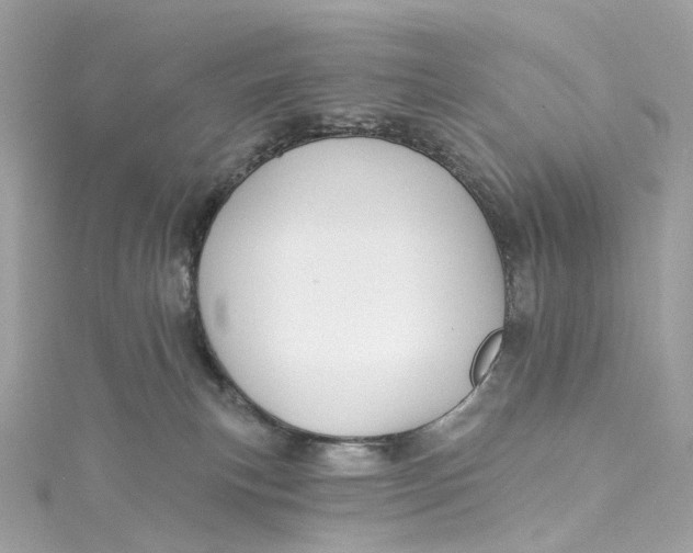 X0000115220183200911181556