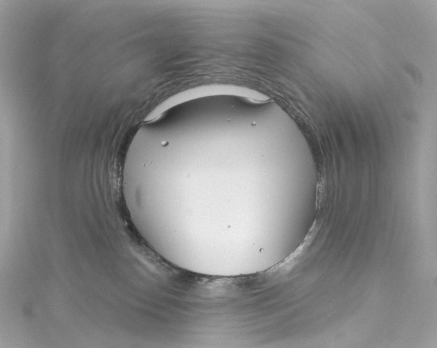 X0000115220186200911181556