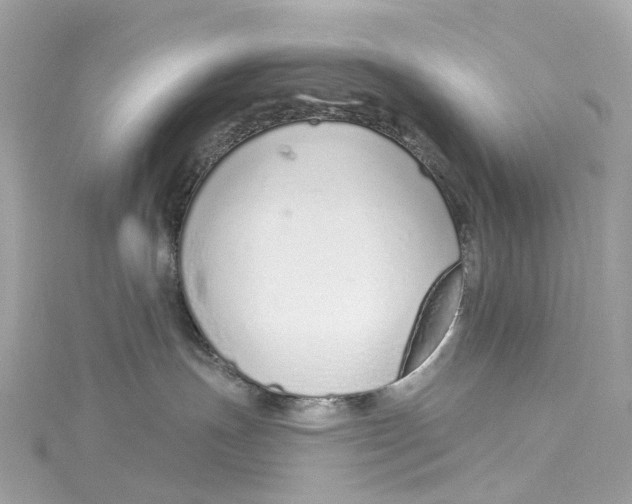X0000115220191200911181556