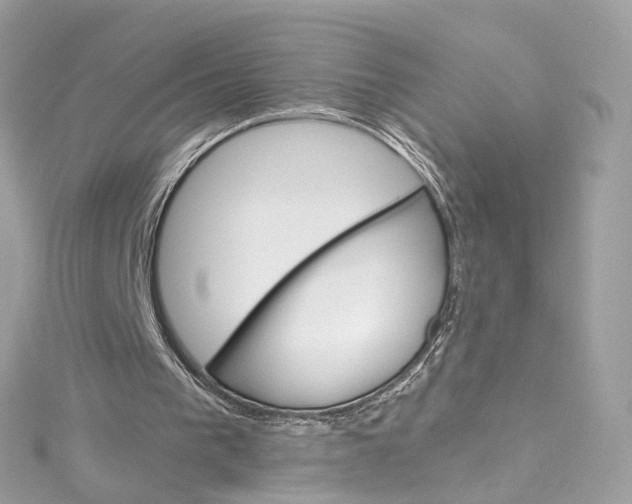 X0000115220193200911181556