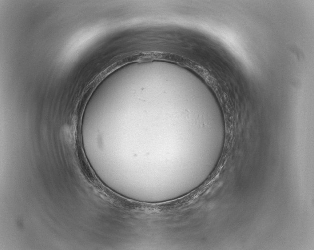 X0000115220194200911181556