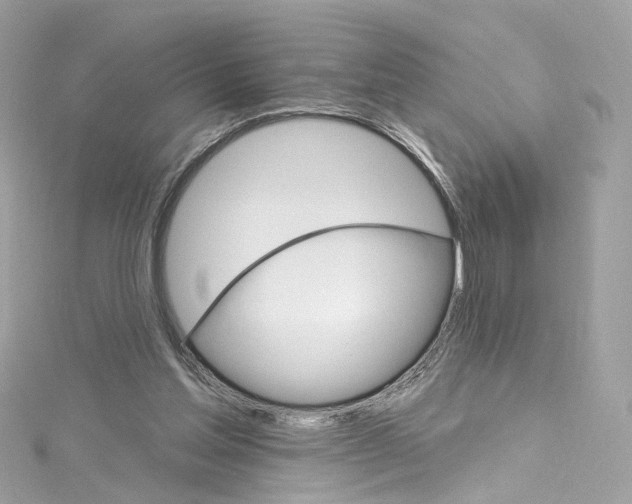 X0000115220205200911181555