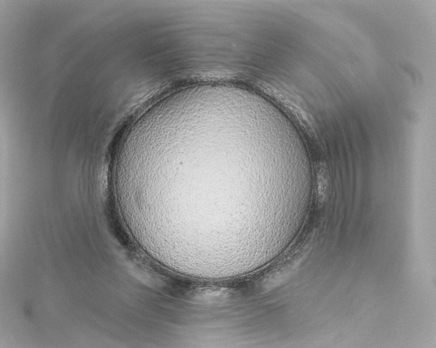 X0000115220206200911181555