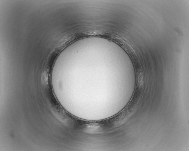 X0000115220214200911181555