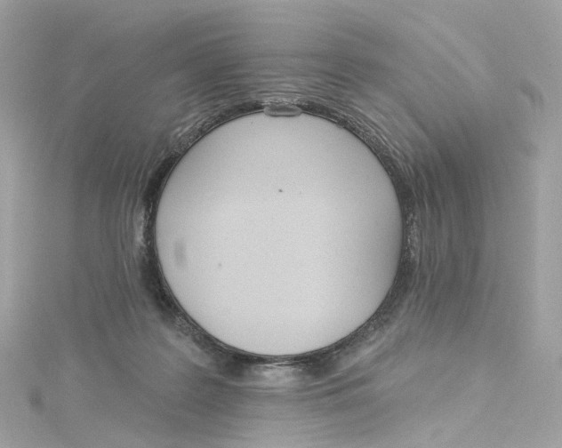 X0000115220219200911181555