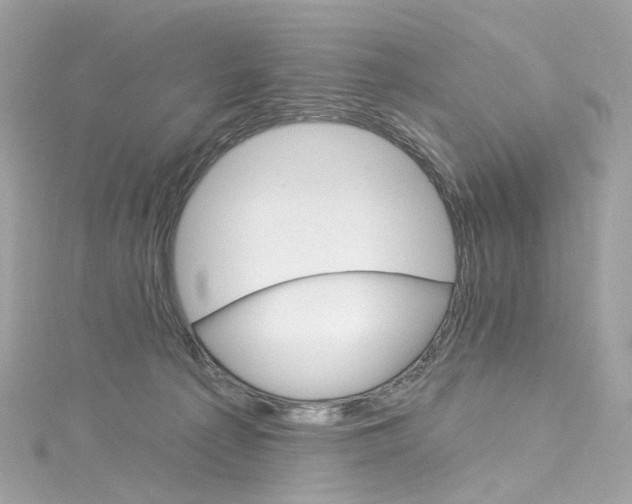 X0000115220225200911181555