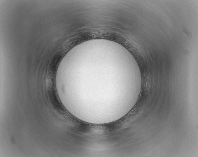 X0000115220226200911181555