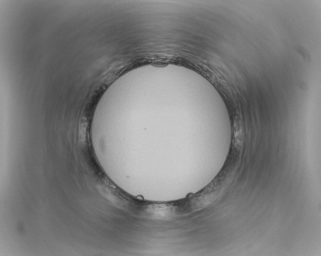 X0000115220231200911181555