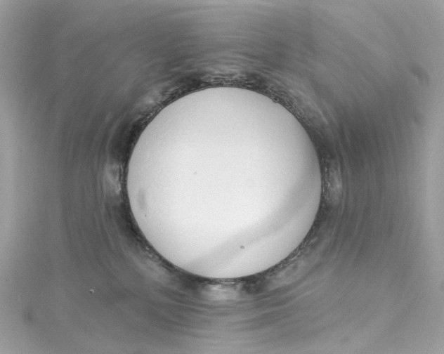 X0000115220232200911181555